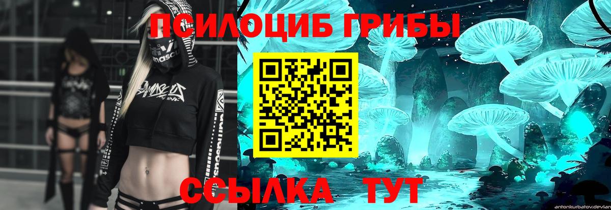 Туймазы  Псилоцибиновые грибы мицелий  Вход с VPN 