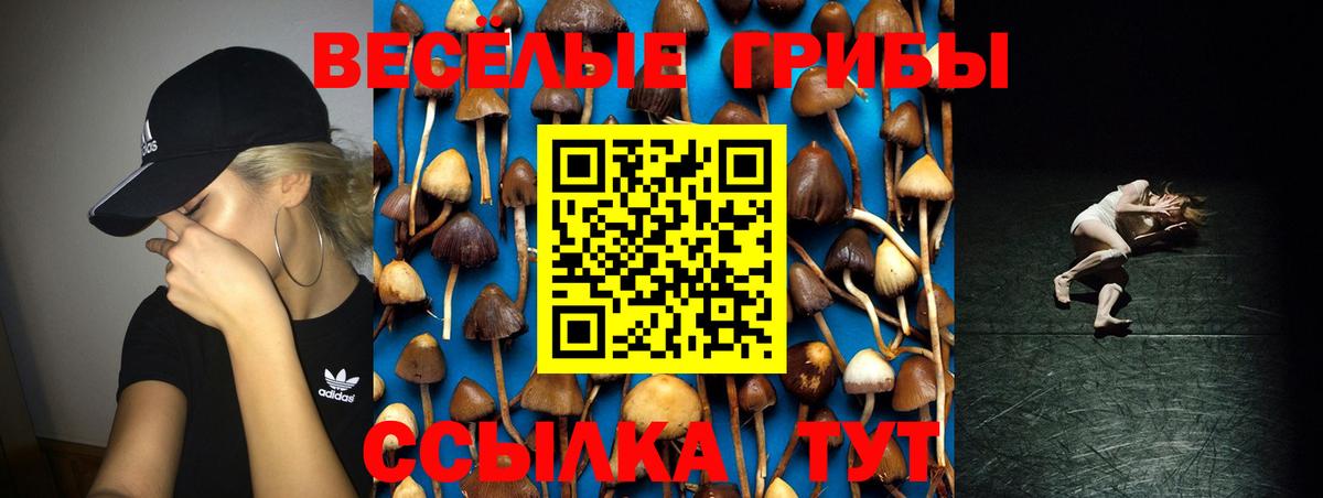 Галлюциногенные грибы GOLDEN TEACHER Туймазы